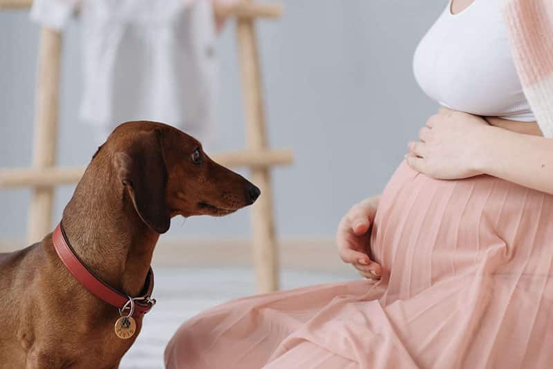 Fertilidad, aborto, embarazo, parto y lactancia